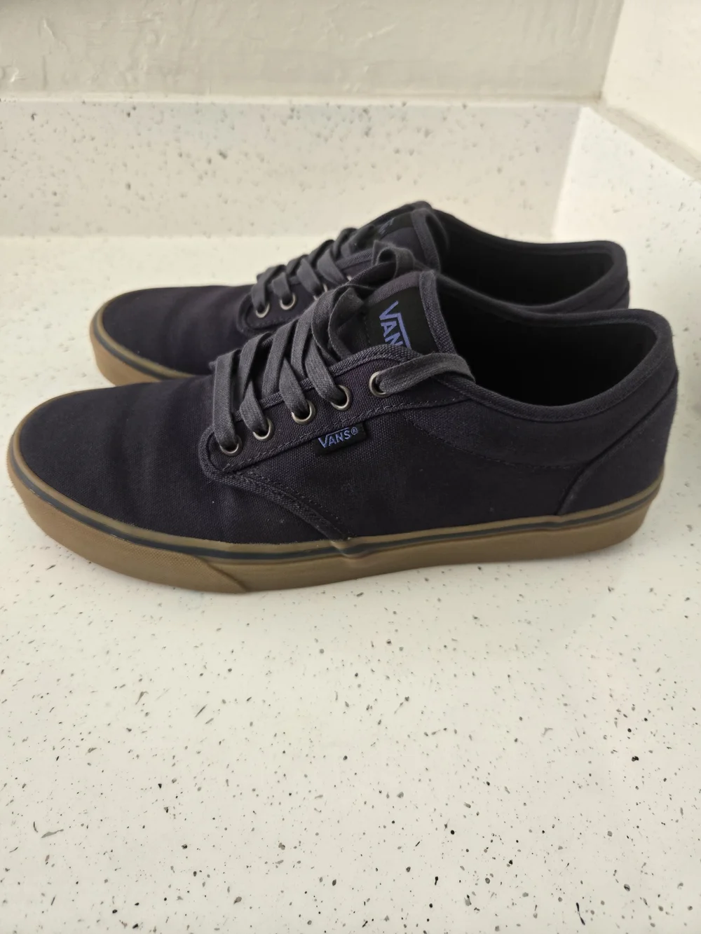 Vans Men’s Canvas Low-Top Sneakers in Black with Gum Sole
